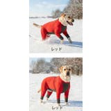 犬 服 犬服 | K-city | 詳細画像7 