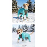 犬 服 犬服 | K-city | 詳細画像8 