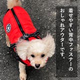 犬 服 犬服 | K-city | 詳細画像2