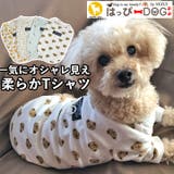 犬 服 犬服 | K-city | 詳細画像1