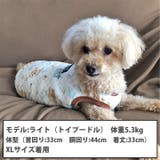犬 服 犬服 | K-city | 詳細画像3