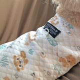 犬 服 犬服 | K-city | 詳細画像5