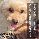犬 服 犬服 | K-city | 詳細画像6