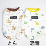犬 服 犬服 | K-city | 詳細画像9