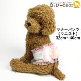 犬 服 犬服 | K-city | 詳細画像1 