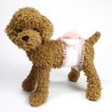 犬 服 犬服 | K-city | 詳細画像2 