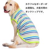 犬 服 犬服 | K-city | 詳細画像2 