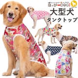 犬 服 犬服 | K-city | 詳細画像1 