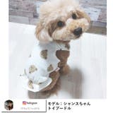 犬 服 犬服 | K-city | 詳細画像2