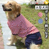 大型犬 犬 服 | K-city | 詳細画像1