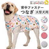 大型犬 犬 服 | K-city | 詳細画像1