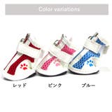 犬 靴 犬靴 | K-city | 詳細画像6