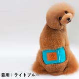 犬 服 犬服 | K-city | 詳細画像5 