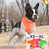 ハーネス 胴輪 メッシュ | K-city | 詳細画像1