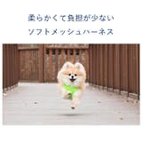 ハーネス 胴輪 メッシュ | K-city | 詳細画像2