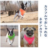 ハーネス 胴輪 メッシュ | K-city | 詳細画像3