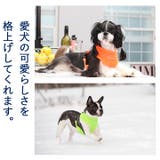 ハーネス 胴輪 メッシュ | K-city | 詳細画像4