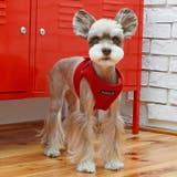 大型犬 ソフトベストハーネス XXXL | K-city | 詳細画像2
