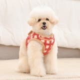 ハーネス 犬 首の負担が少ない | K-city | 詳細画像3 