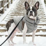 犬 服 犬服 | K-city | 詳細画像15 