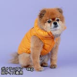 犬 服 犬服 | K-city | 詳細画像7 