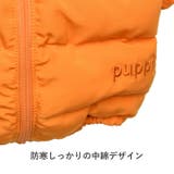 犬 服 犬服 | K-city | 詳細画像12 