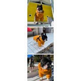 犬 服 犬服 | K-city | 詳細画像15 