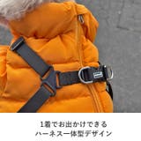 犬 服 犬服 | K-city | 詳細画像10 