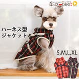 犬 服 犬服 | K-city | 詳細画像1 