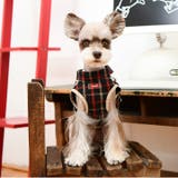 犬 服 犬服 | K-city | 詳細画像2 