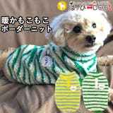 犬 服 犬服 | K-city | 詳細画像1 