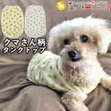 犬 服 犬服 | K-city | 詳細画像1 