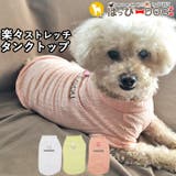 犬 服 犬服 | K-city | 詳細画像1 