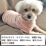 犬 服 犬服 | K-city | 詳細画像3 