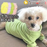 犬 服 犬服 | K-city | 詳細画像1 