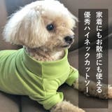 犬 服 犬服 | K-city | 詳細画像6 