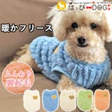 犬 服 犬服 | K-city | 詳細画像1 