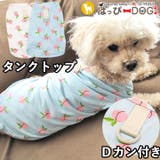 犬 服 犬服 | K-city | 詳細画像1 