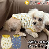 犬 服 犬服 | K-city | 詳細画像1