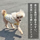 犬 服 犬服 | K-city | 詳細画像2