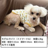 犬 服 犬服 | K-city | 詳細画像3