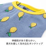 犬 服 犬服 | K-city | 詳細画像4