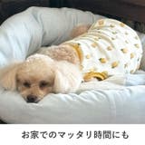 犬 服 犬服 | K-city | 詳細画像6