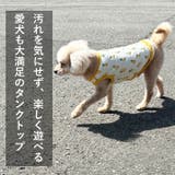犬 服 犬服 | K-city | 詳細画像7