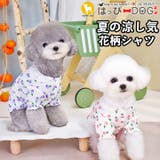 犬 服 犬服 | K-city | 詳細画像1