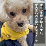 犬 服 犬服 | K-city | 詳細画像6 