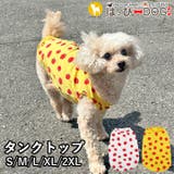 犬 服 犬服 | K-city | 詳細画像1