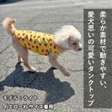 犬 服 犬服 | K-city | 詳細画像2