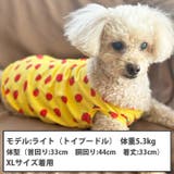 犬 服 犬服 | K-city | 詳細画像3