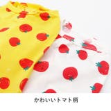 犬 服 犬服 | K-city | 詳細画像4